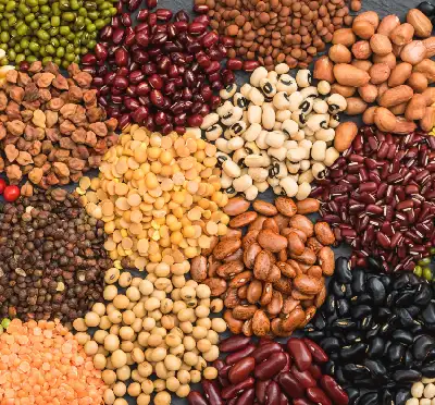 Dry Fruits