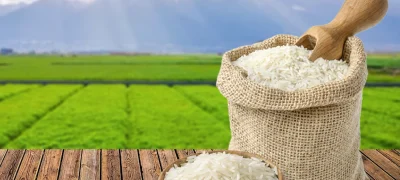 Rice & Grains